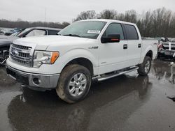 Salvage cars for sale from Copart Glassboro, NJ: 2014 Ford F150 Supercrew