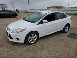 Salvage cars for sale from Copart Bismarck, ND: 2014 Ford Focus SE