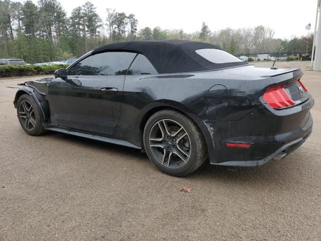 2019 Ford Mustang