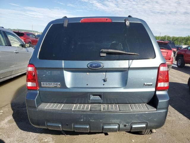 2010 Ford Escape XLT