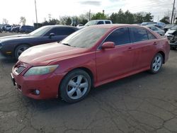 Salvage cars for sale at Denver, CO auction: 2010 Toyota Camry Base