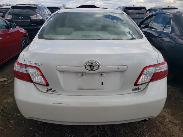 2007 Toyota Camry Hybrid