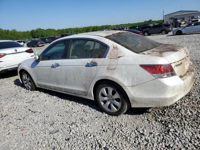 2009 Honda Accord EXL