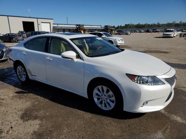 2013 Lexus ES 300H