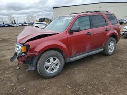 Vehiculos salvage en venta de Copart Rocky View County, AB: 2012 Ford Escape XLT