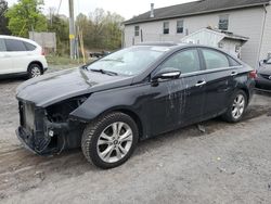 Vehiculos salvage en venta de Copart York Haven, PA: 2013 Hyundai Sonata SE