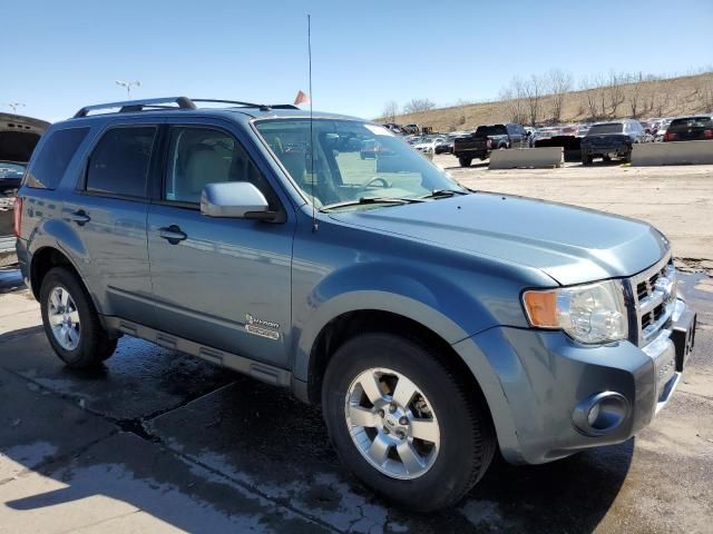 2011 Ford Escape Hybrid