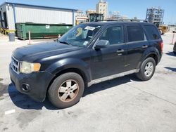 Flood-damaged cars for sale at auction: 2009 Ford Escape XLT