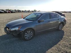 2011 Honda Accord EXL for sale in Antelope, CA