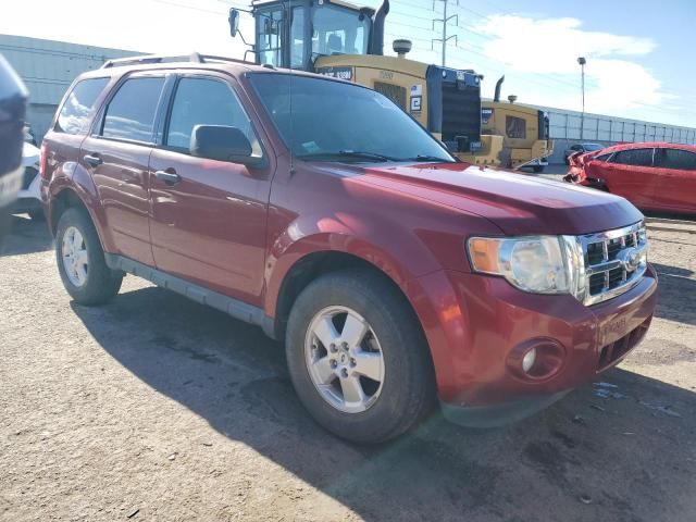 2012 Ford Escape XLT