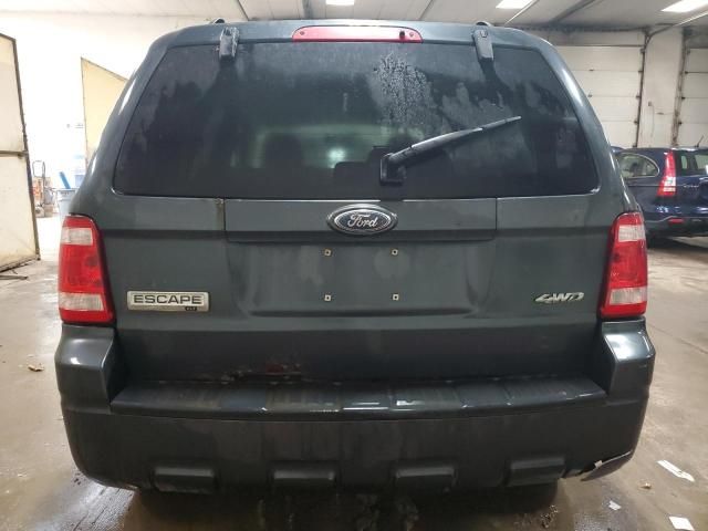 2008 Ford Escape XLT