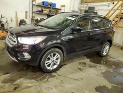 Salvage cars for sale from Copart Ham Lake, MN: 2019 Ford Escape SEL