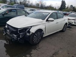 Salvage cars for sale at Portland, OR auction: 2023 Nissan Altima SV