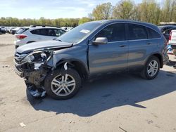 Salvage cars for sale at Glassboro, NJ auction: 2010 Honda CR-V EXL