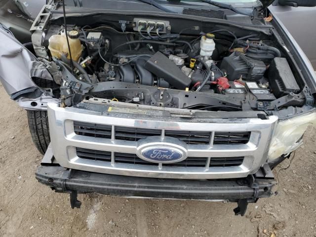 2008 Ford Escape XLT