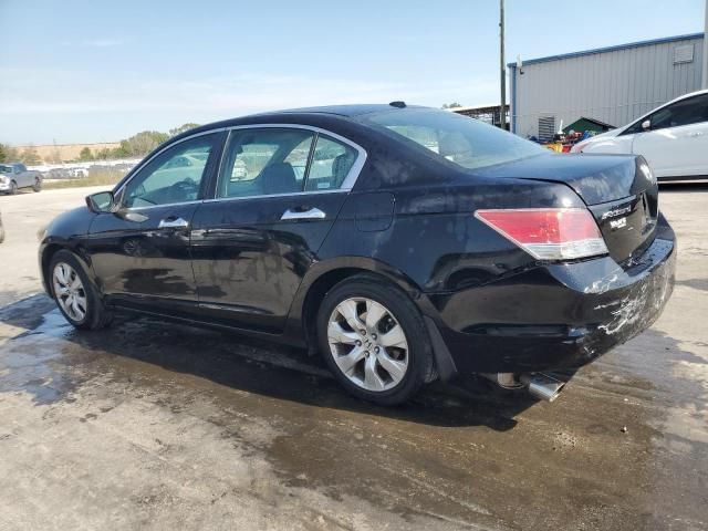 2008 Honda Accord EXL