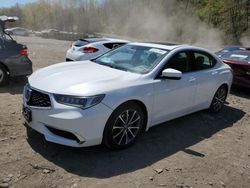 Salvage cars for sale at Marlboro, NY auction: 2018 Acura TLX