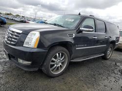 Vehiculos salvage en venta de Copart Eugene, OR: 2008 Cadillac Escalade ESV