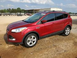 Ford Escape SE salvage cars for sale: 2016 Ford Escape SE