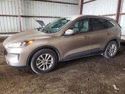 Salvage cars for sale at Houston, TX auction: 2020 Ford Escape SE