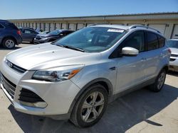 Salvage cars for sale at Louisville, KY auction: 2014 Ford Escape Titanium