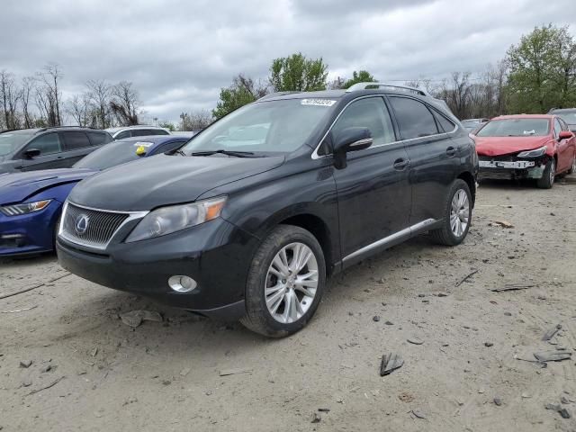 2010 Lexus RX 450