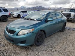 Salvage cars for sale at Magna, UT auction: 2010 Toyota Corolla Base