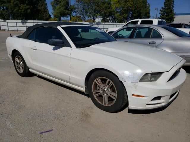 2013 Ford Mustang