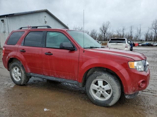 2011 Ford Escape XLT