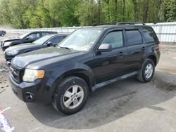 Salvage cars for sale from Copart Glassboro, NJ: 2011 Ford Escape XLT