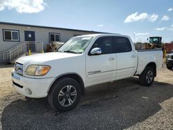 Salvage Trucks for parts for sale at auction: 2005 Toyota Tundra Double Cab SR5