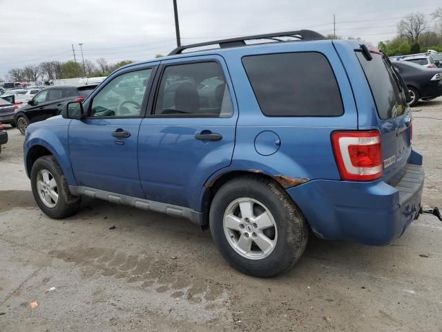 2009 Ford Escape XLT