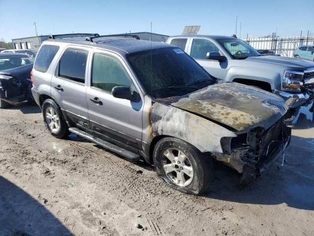 2007 Ford Escape XLT