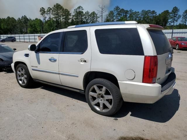 2010 Cadillac Escalade Premium