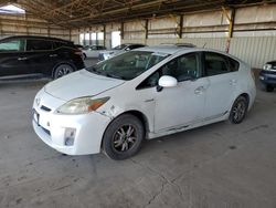 Salvage cars for sale at Phoenix, AZ auction: 2010 Toyota Prius