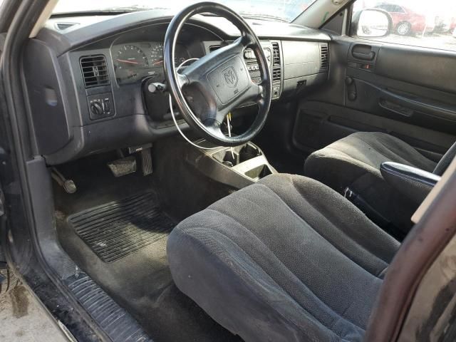 2004 Dodge Dakota SXT