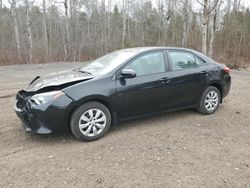 Salvage cars for sale from Copart Ontario Auction, ON: 2014 Toyota Corolla L