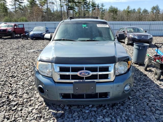 2011 Ford Escape XLT