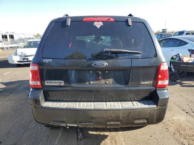 2008 Ford Escape XLT