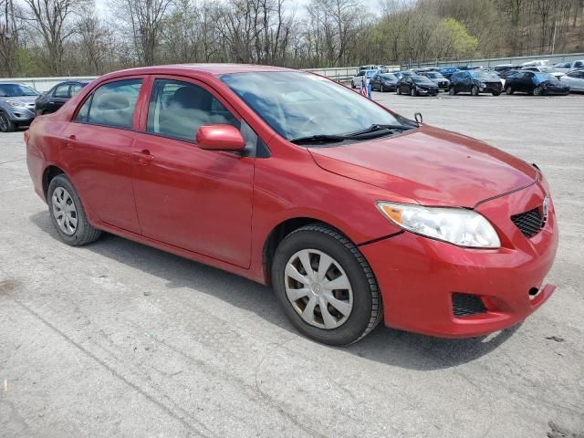 2010 Toyota Corolla Base