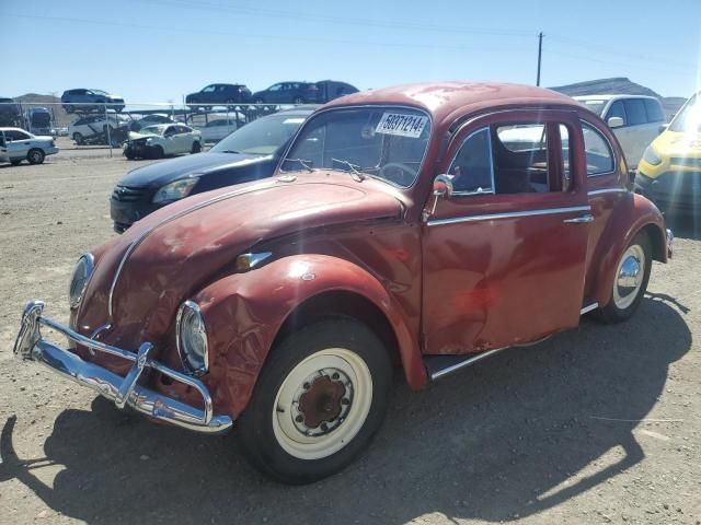 1964 Volkswagen Beetle