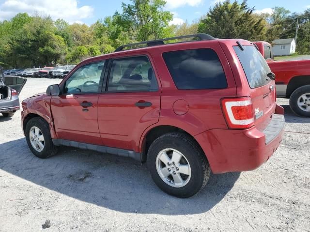 2011 Ford Escape XLT