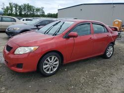 Salvage cars for sale at Spartanburg, SC auction: 2010 Toyota Corolla Base