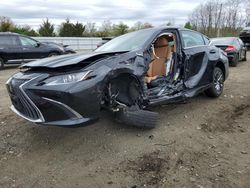 Lexus es 300h Base salvage cars for sale: 2024 Lexus ES 300H Base