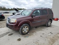 Honda Pilot Vehiculos salvage en venta: 2011 Honda Pilot LX