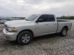 Salvage trucks for sale at Walton, KY auction: 2010 Dodge RAM 1500