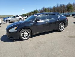 Nissan Maxima S Vehiculos salvage en venta: 2010 Nissan Maxima S