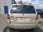 2007 Ford Escape Limited