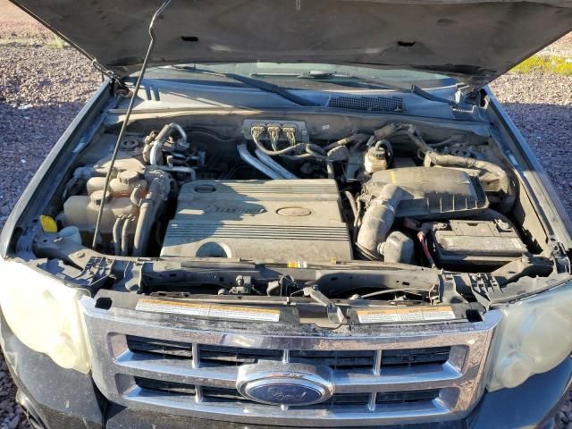 2008 Ford Escape HEV