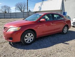 Salvage cars for sale from Copart Blaine, MN: 2010 Toyota Camry Base